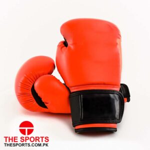 Boxing Gloves 4106