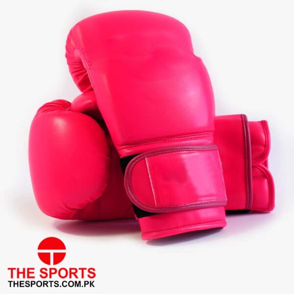 Boxing Gloves 4107