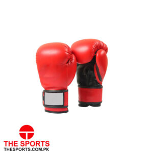 Boxing Gloves 4109