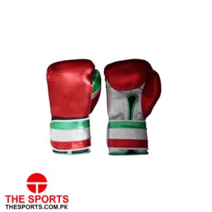 Boxing Gloves 4117