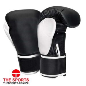 Boxing Gloves 4121