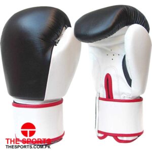 Boxing Gloves 4122