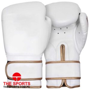 Boxing Gloves 4123