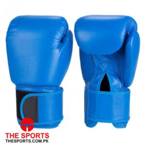 Boxing Gloves 4124