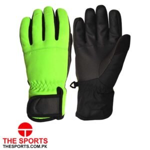 Ski Gloves