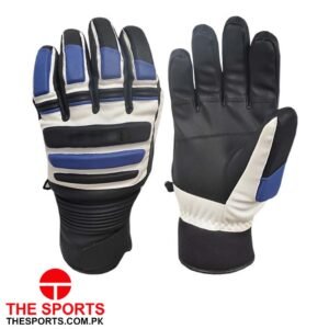 Ski Gloves