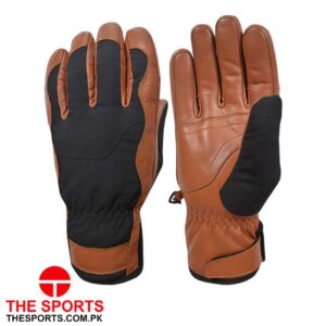 Ski Gloves
