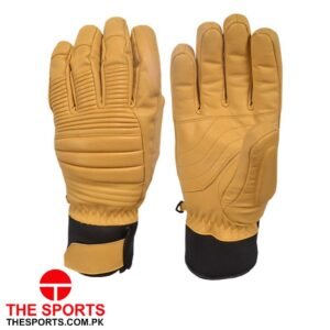Ski Gloves
