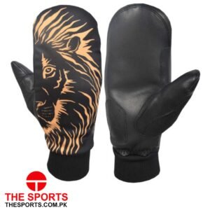 Ski Gloves