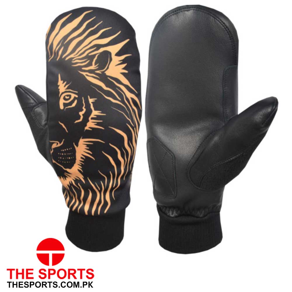 Ski Gloves