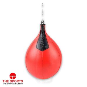 Speed Bag 07